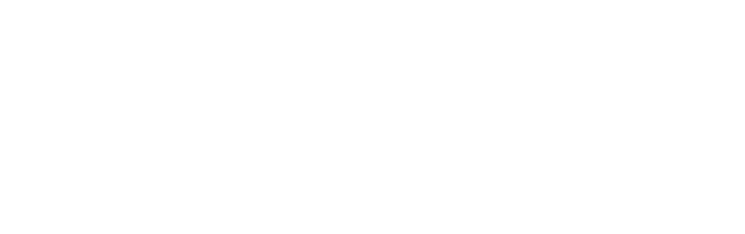 FE Investments Logo